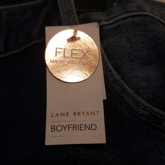 Lane Bryant Boyfriend Low Rise Jeans - Picture 8 of 16